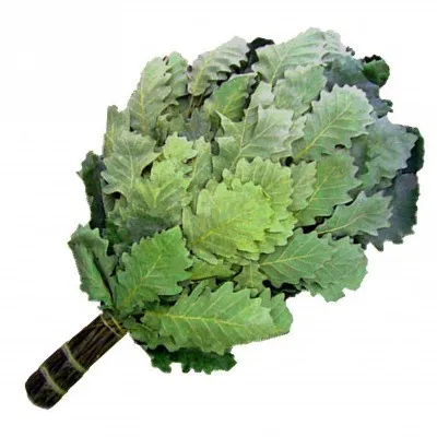 веник банный из кавказского дуба премиум (оплетённая ручка) банный эксперт